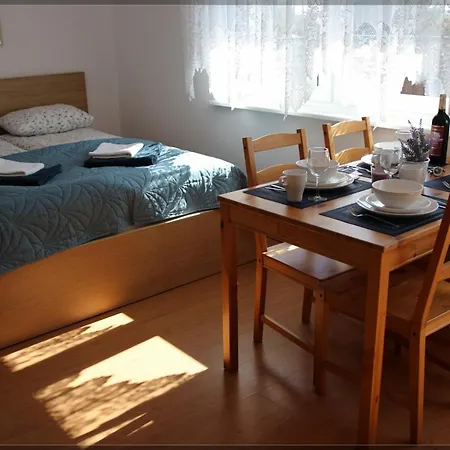 U Michala 招待所 Karwieńskie Błoto